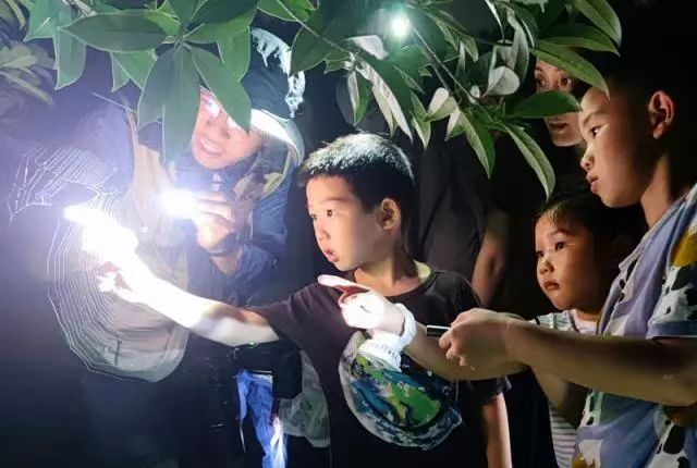 随着商会的市场化、社会化进程的推进，财政压力的增加导致了商会组织的商业化趋势。对于商会来说，商业化意味着商会在运作过程中更多地使用商业手段实现创收的目的。