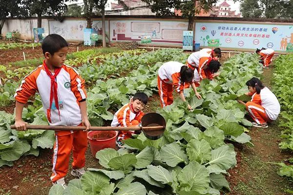 【劳育评价】人民教育 | 如何设计指向劳动素养的表现性评价(内附案例)